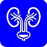 Urology